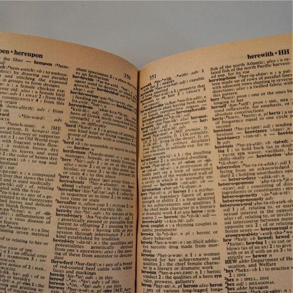 Merriam-Webster Dictionary 1997 Paperback - Picture 8 of 8